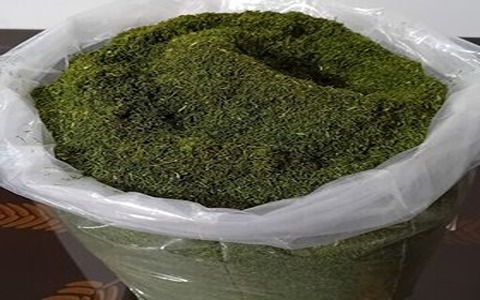 قیمت خرید سبزی شوید خشک شده با فروش عمده
